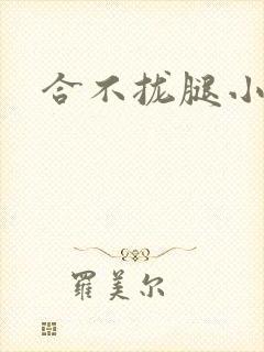 合不拢腿小说