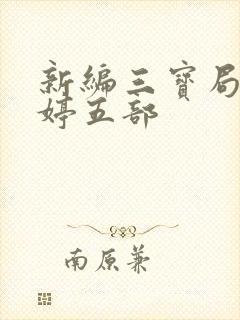 新编三宝局长许婷五部