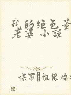 我的绝色董事长老婆 小说