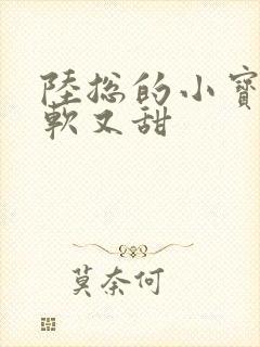 陆总的小宝贝又软又甜