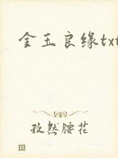 金玉良缘txt