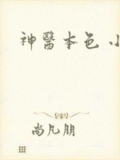 神医本色 小说