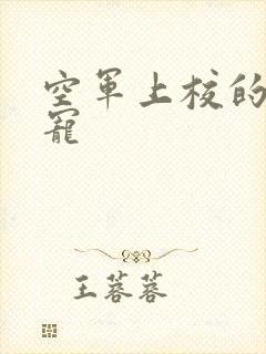 空军上校的邪魅宠