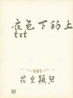 夜色下的上海滩 txt