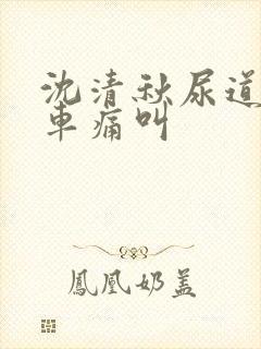 沈清秋尿道扩张车痛叫