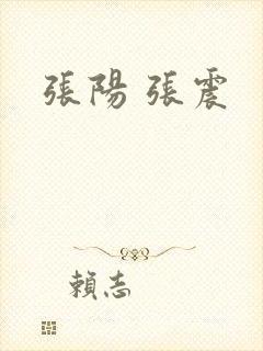 张阳 张震
