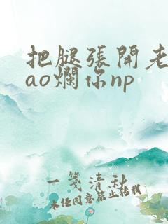把腿张开老子cao烂你np
