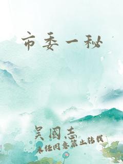 市委一秘