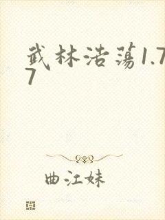 武林浩荡1.77