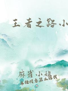 王者之路小说