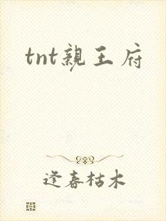 tnt亲王府