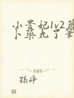 小贵妃1v2萝卜药丸了笔趣阁