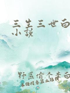 三生三世白暮泪小说