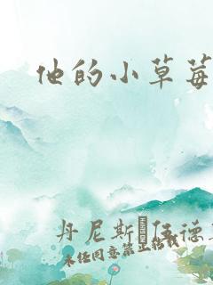 他的小草莓