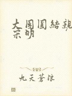 大团圆结亲情会宋明