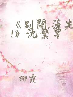 《别闹,薄先生!》沈繁星