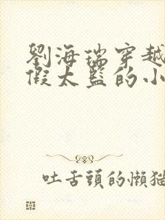 刘海瑞穿越后宫假太监的小说