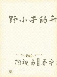 野小子的升官路