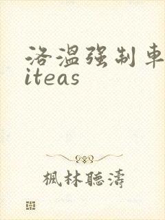 洛温强制车writeas