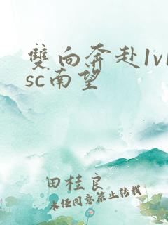 双向奔赴1v1sc南望