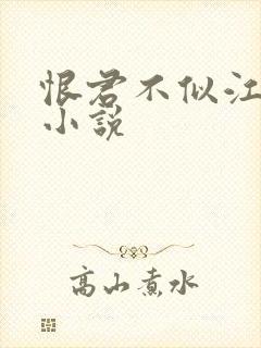 恨君不似江楼月小说