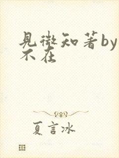 见微知著by音不在