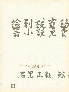 捡到校霸的遥控器小说免费阅读无弹窗