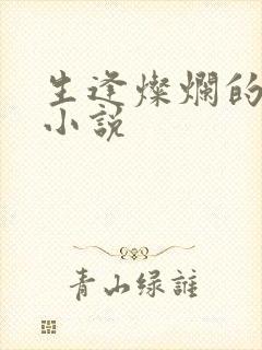生逢灿烂的日子小说