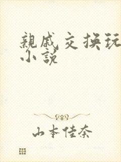 亲戚交换玩美妇小说