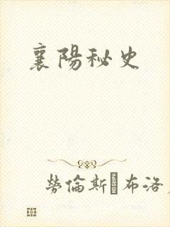 襄阳秘史