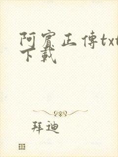 阿宾正传txt下载