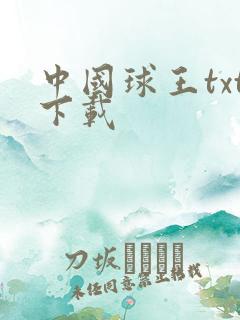 中国球王txt下载