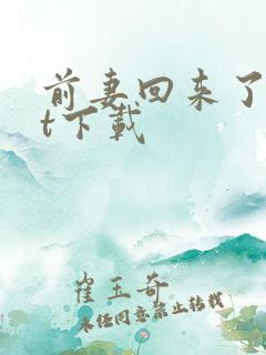 前妻回来了txt下载