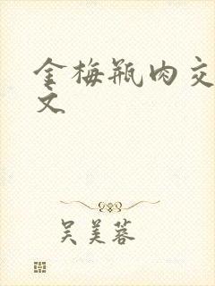 金梅瓶肉交白话文