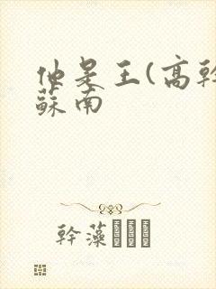 他是王(高干)苏南