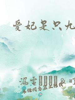 爱妃是只九尾猫