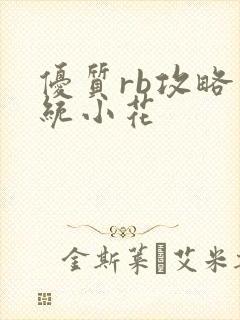 优质rb攻略系统小花