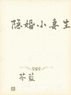 隐婚小妻生个娃