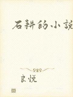 石耕的小说