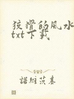 狡猾的风水相师txt下载