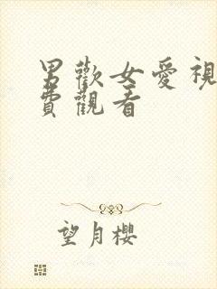 男欢女爱视频免费观看