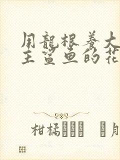 用龙根养大的公主鲨鱼的花