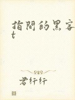 指间的黑客txt