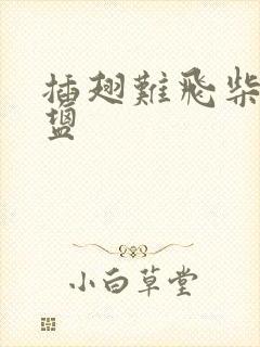 插翅难飞柴米油盐