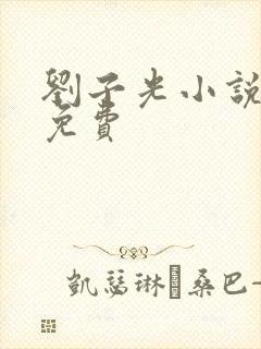 刘子光小说全文免费