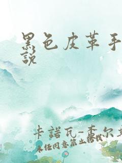 黑色皮革手册小说