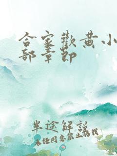 合家欢黄小梅全部章节
