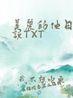美丽的他日剧小说TXT