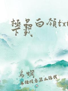 极品白领txt下载