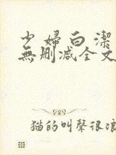 少 妇 白 洁无删减全文阅读